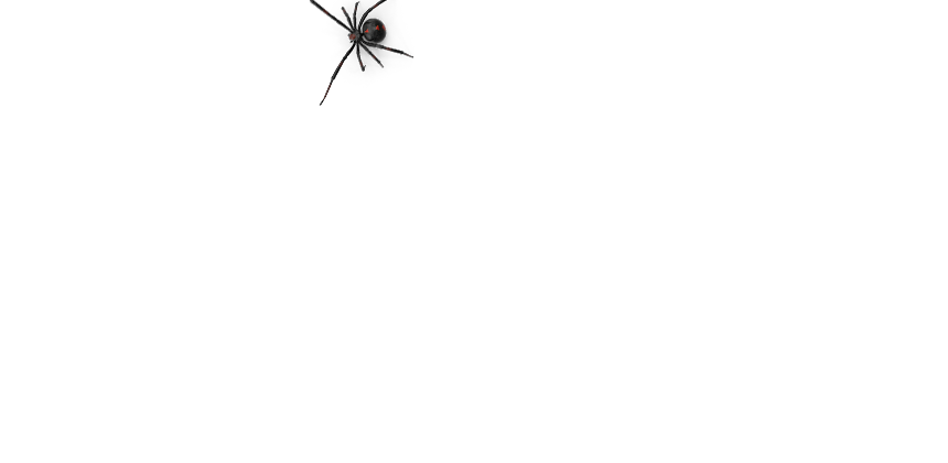 spin